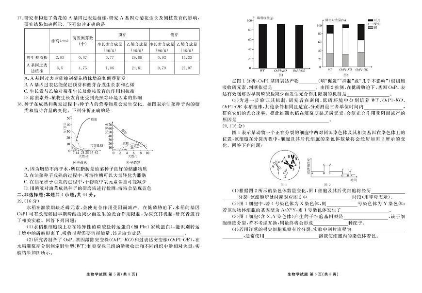 湖北省衡水金卷2026届高三年级上学期12月阶段性测试生物试卷（含答案）第3页