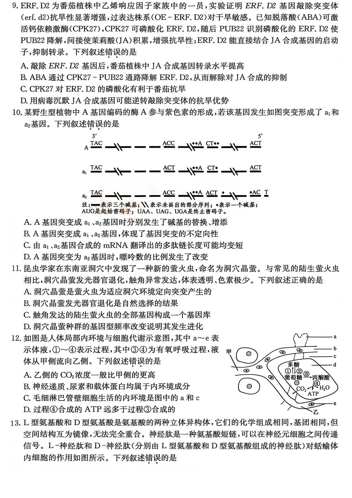 山西省部分学校2025-2026学年高三上学期12月月考生物试题（含答案）第3页