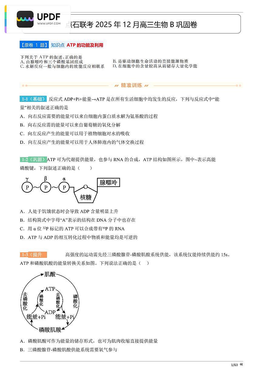 吉林省点石联考2026届高三上学期12月联考考后巩固卷生物试卷（含答案）第3页