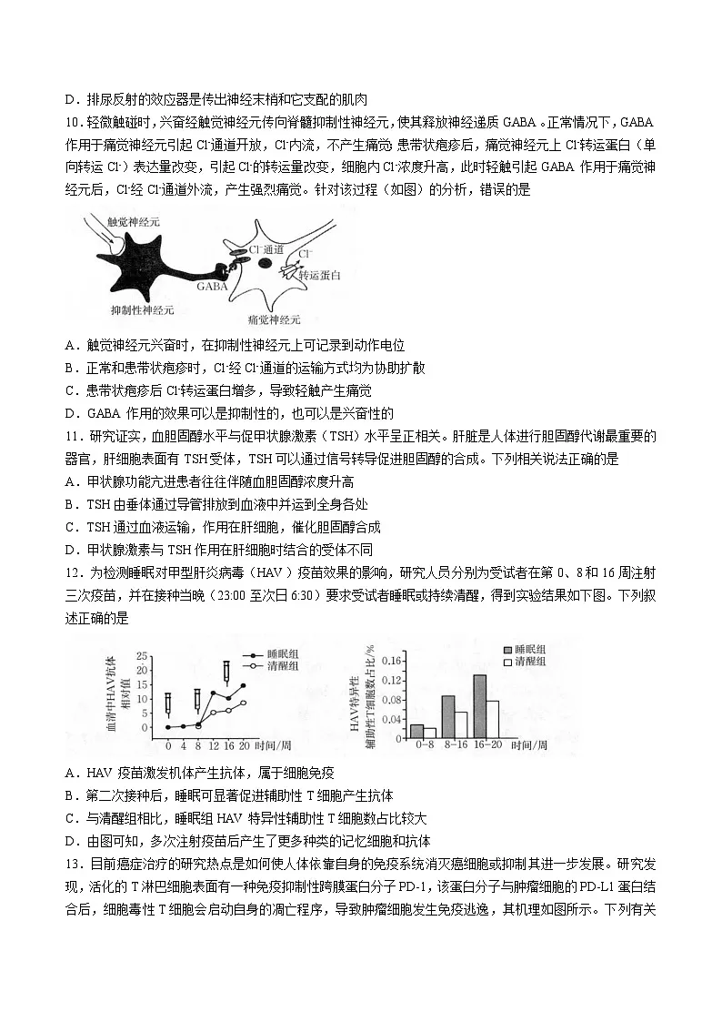 福建省龙岩市一级校盟2025-2026学年高二上学期期中联考试题 生物 Word版含答案第3页