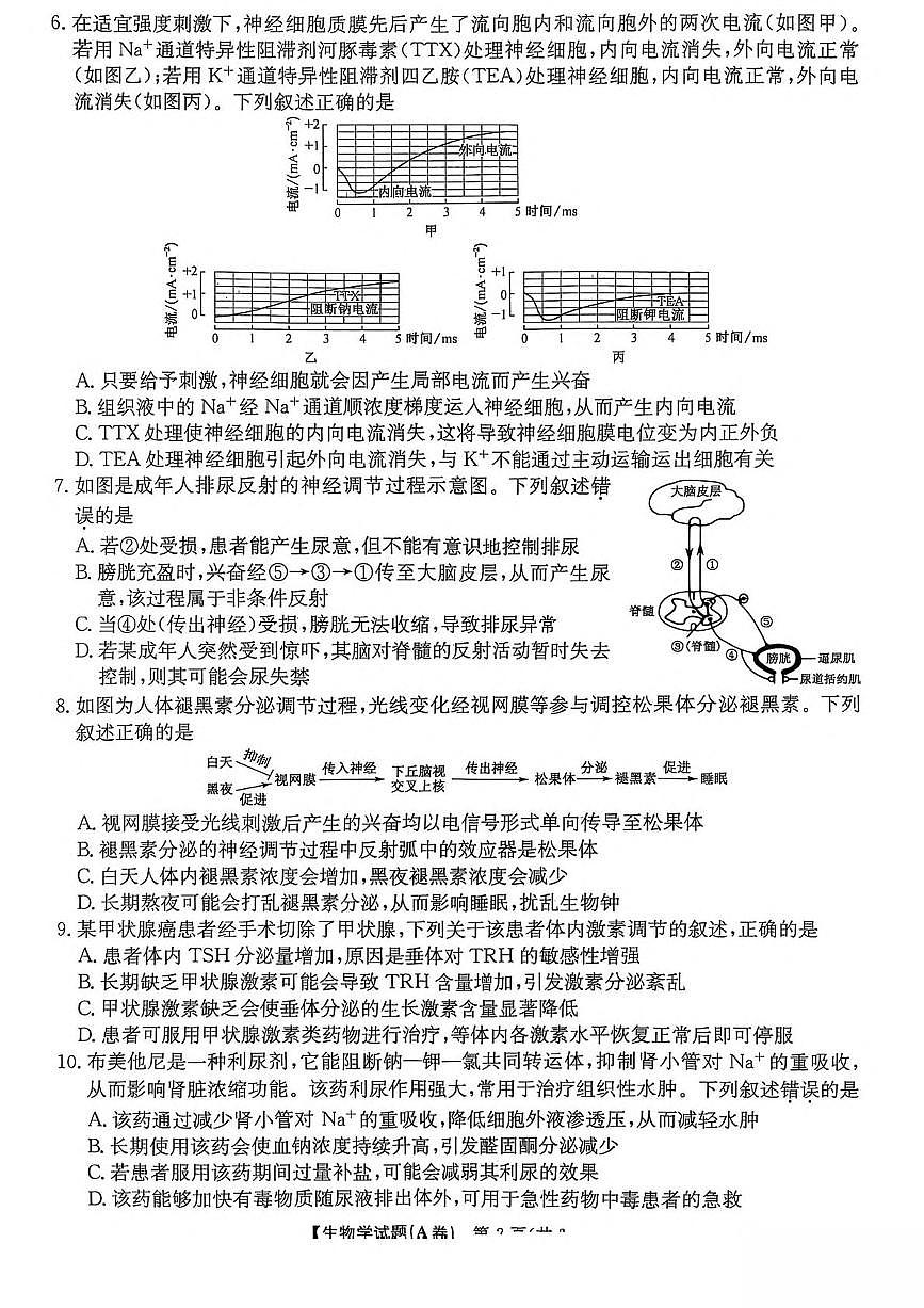 河南省TOP二十名校2025-2026学年高二上学期十二月调研考试生物（A）试卷（图片版，含答案）第2页