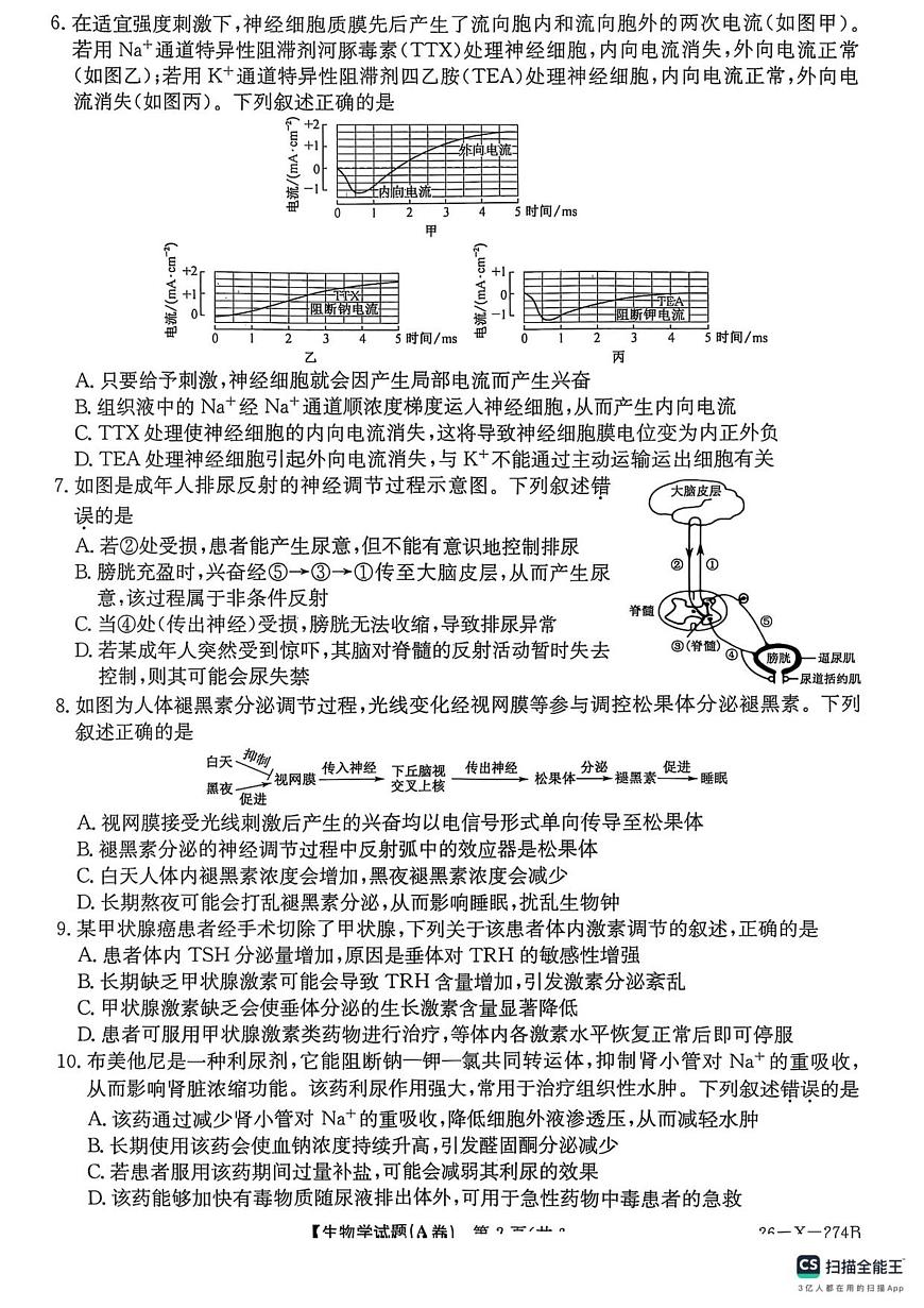 2027届高二年级TOP二十名校十二月调研考试（生物）第2页