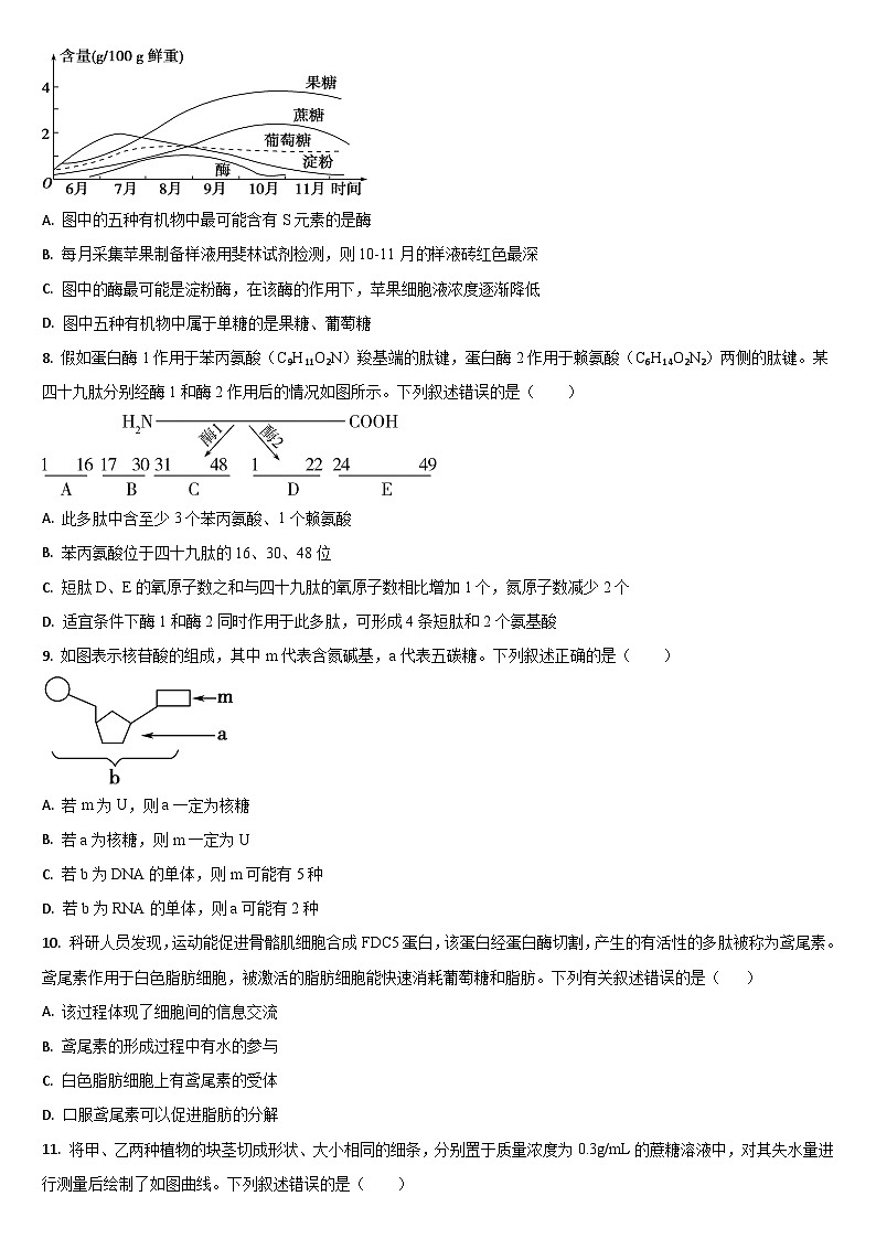 吉林省通化市梅河口市第五中学2025-2026学年高一上学期12月月考生物试题（含答案）第2页