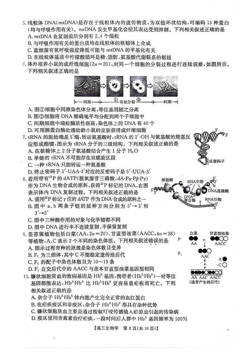 江苏金太阳百校联考2026届高三上学期12月生物试题+答案第2页