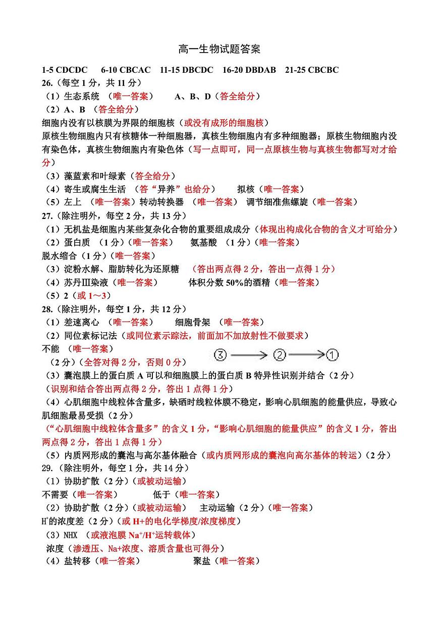 高一生物答案第1页