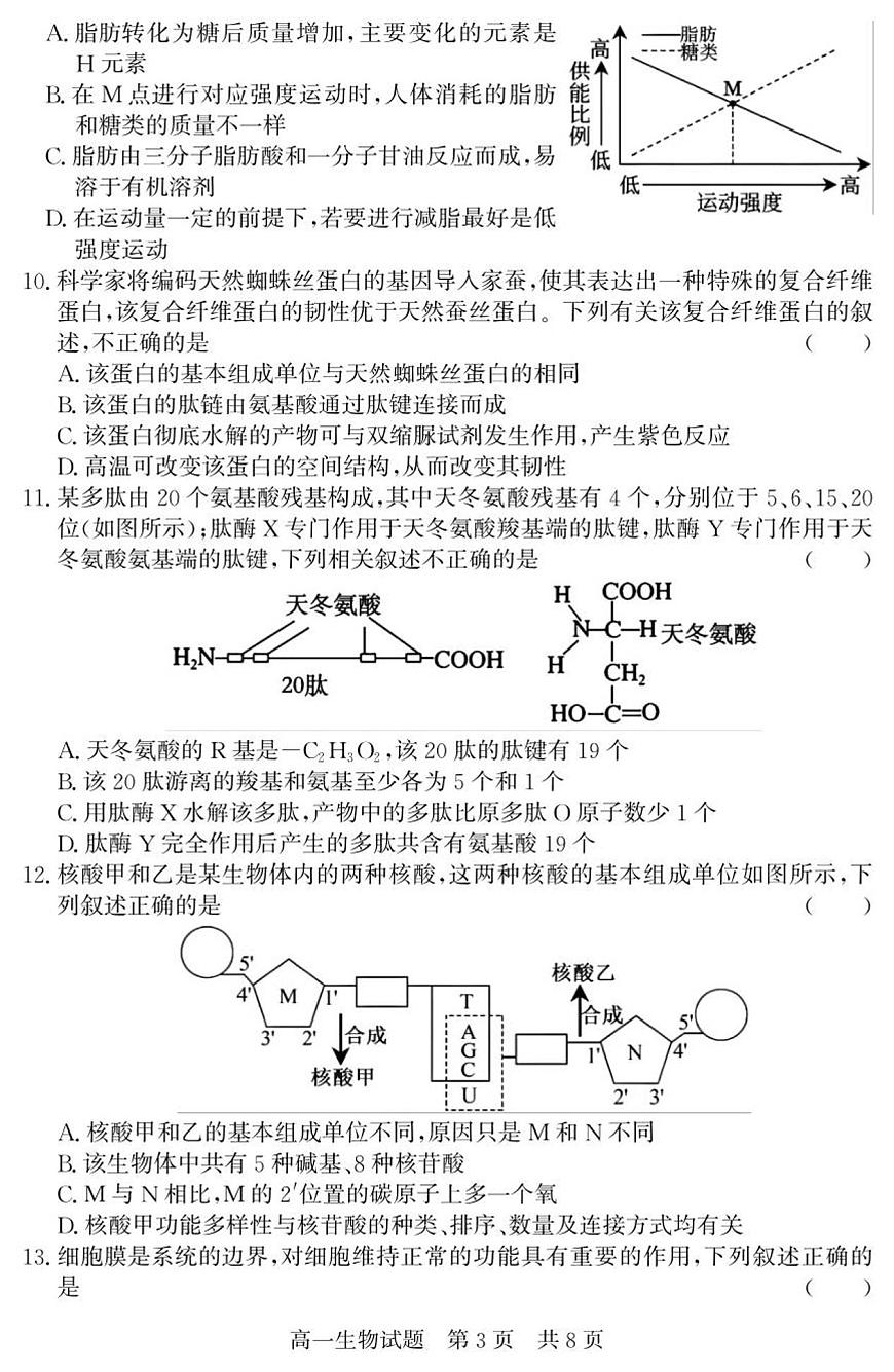 （教研室提供）山东省济宁市兖州区2025-2026学年高一上学期期中生物试题第3页