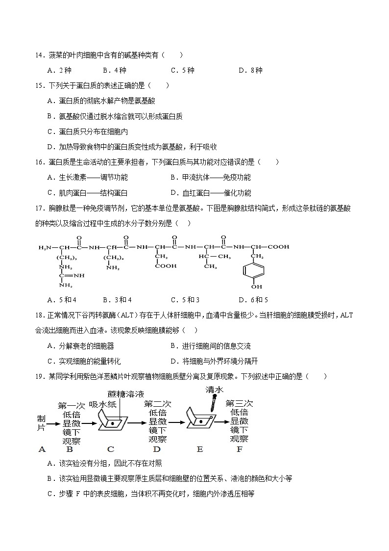 天津市部分区2025-2026学年高一上学期11月期中考试 生物 Word版含答案第3页
