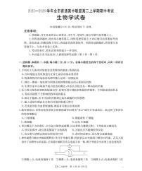 内蒙古赤峰市松山区全市普通高中联盟2025-2026学年高二上学期期中考试生物含答案解析