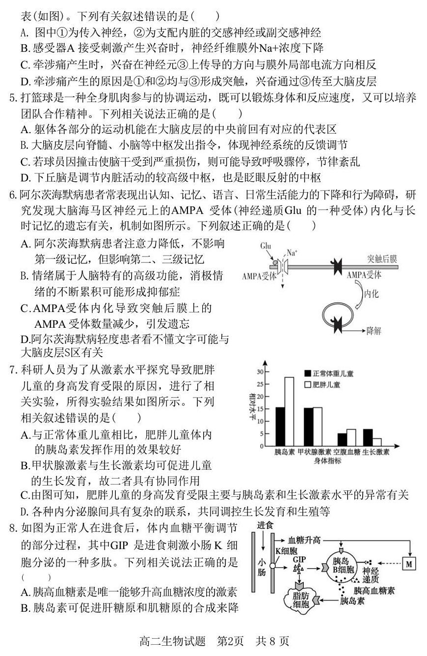 （教研室提供）山东省济宁市兖州区2025-2026学年高二上学期期中生物试题第2页