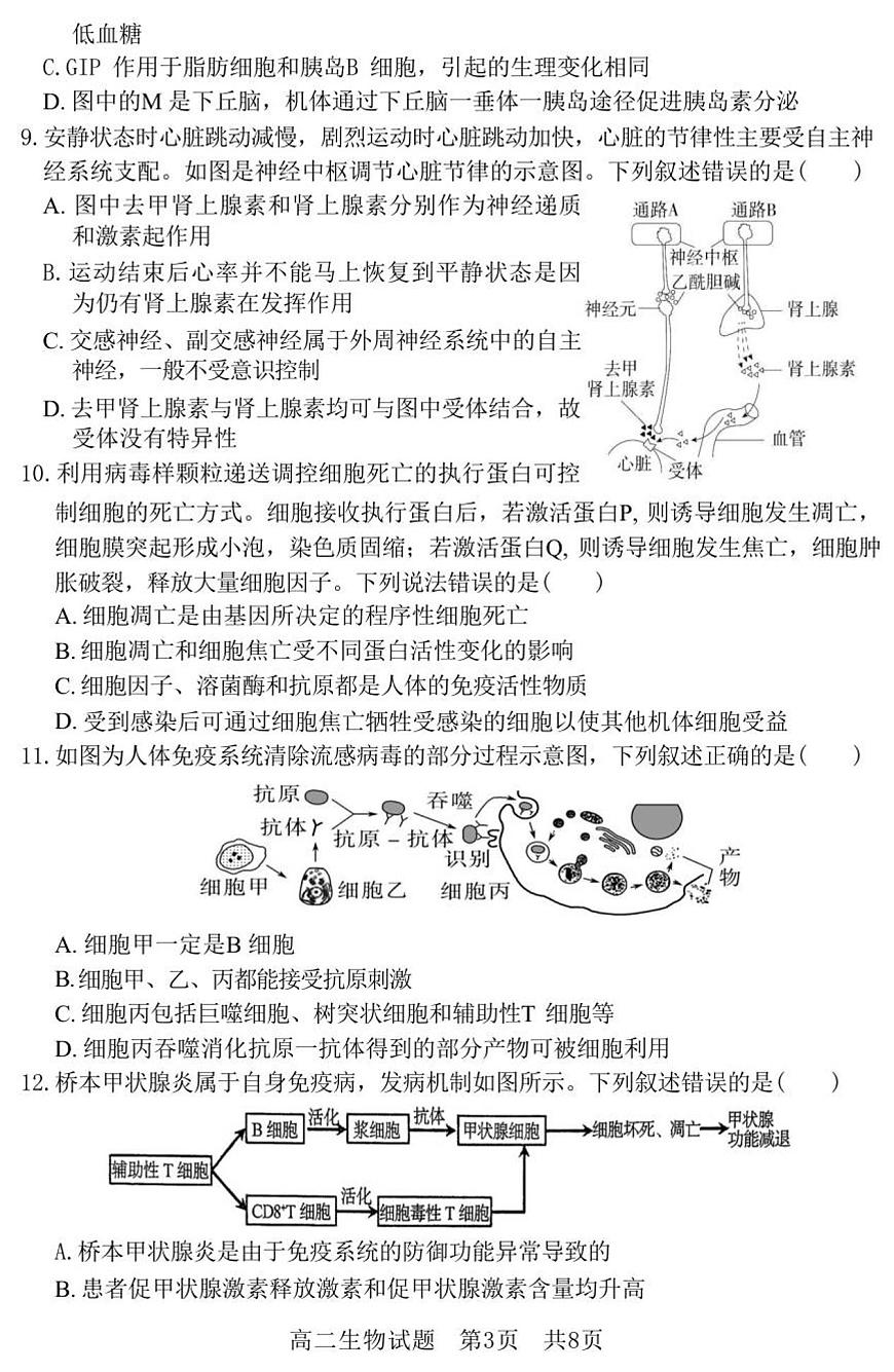 （教研室提供）山东省济宁市兖州区2025-2026学年高二上学期期中生物试题第3页