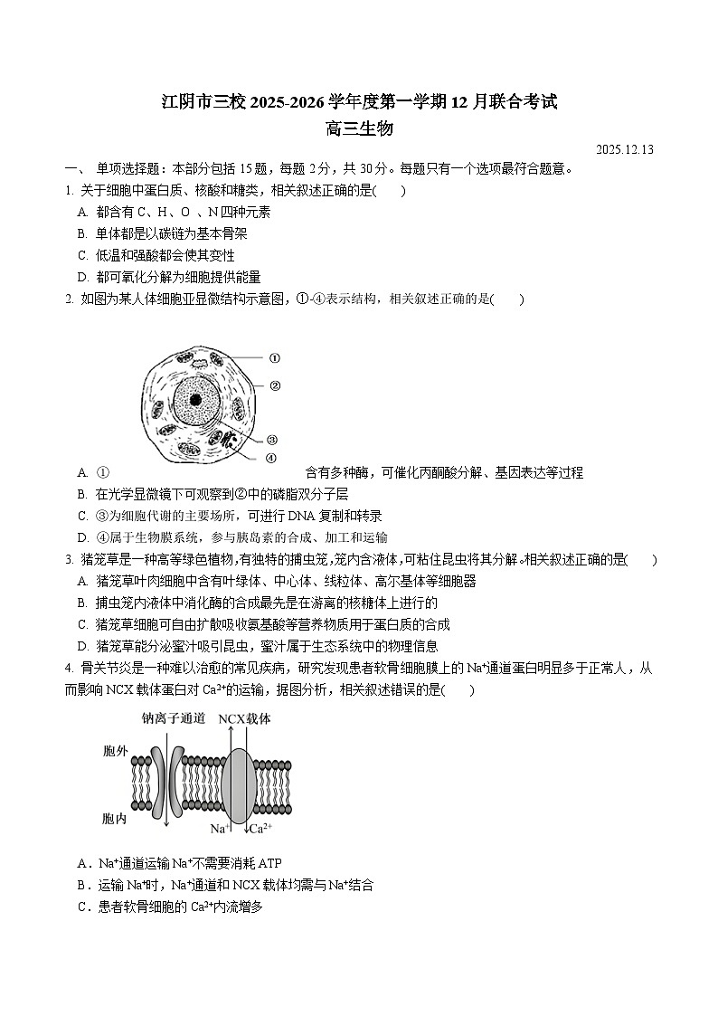 江苏省无锡市江阴市三校2026届高三上学期12月月考 生物试卷（含答案）第1页