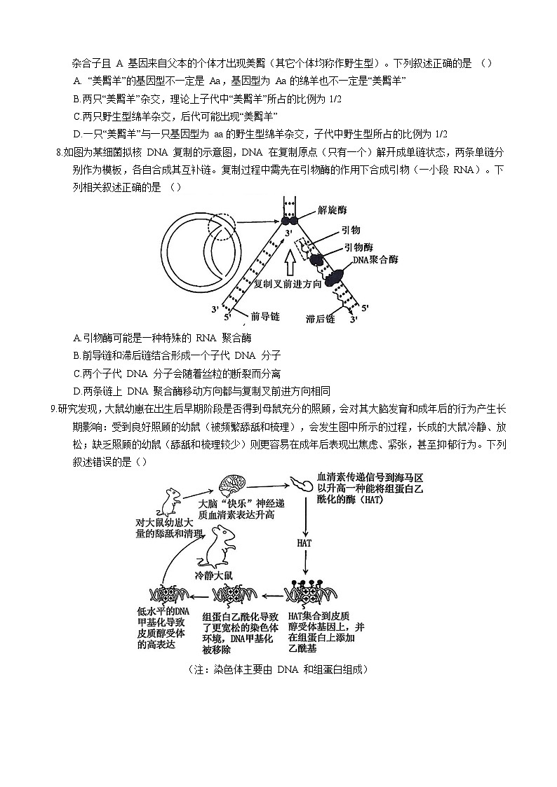 重庆市西南大学附属中学2026届高三上学期12月月考 生物试卷（含答案）第3页
