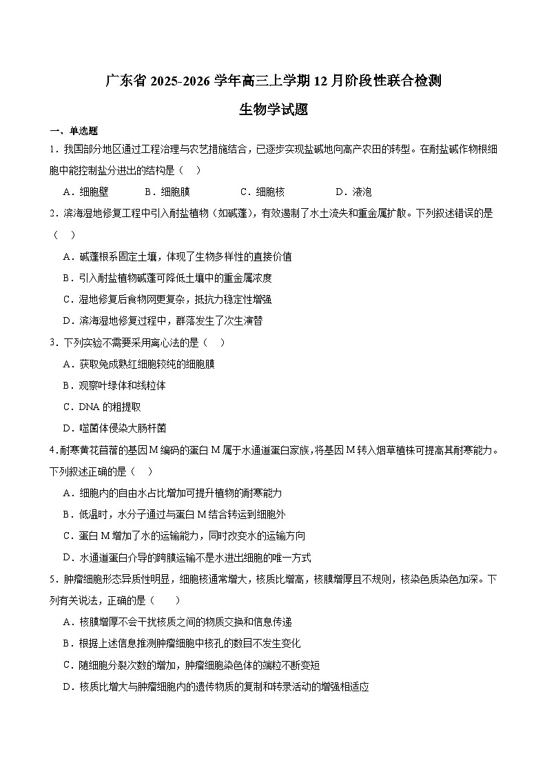 广东省2026届高三上学期12月阶段性联合检测 生物试卷第1页