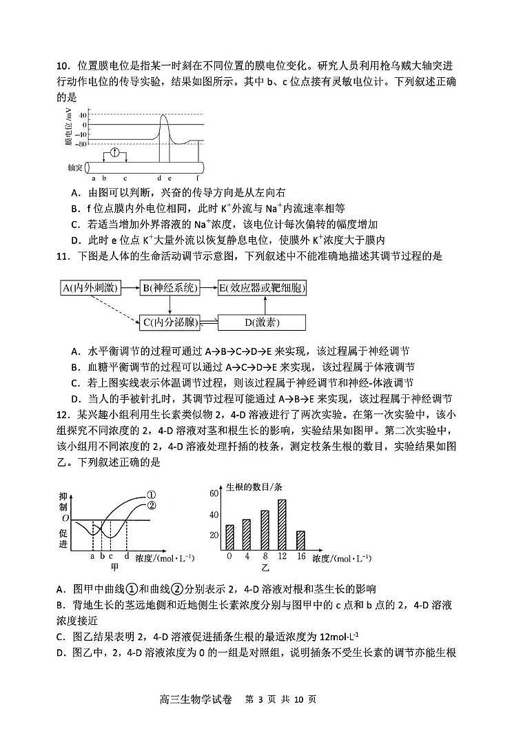 辽宁省大连市滨城高中联盟2026届高三上学期期中Ⅱ考试 生物试卷（PDF图片版）第3页