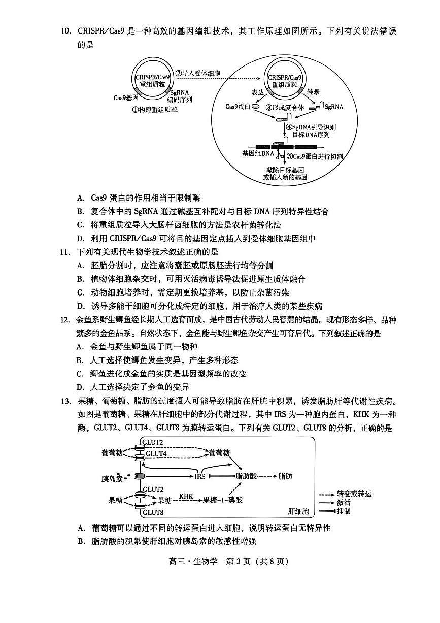 广东汕尾2026届高三上学期综合测试（一）生物试题+答案第3页