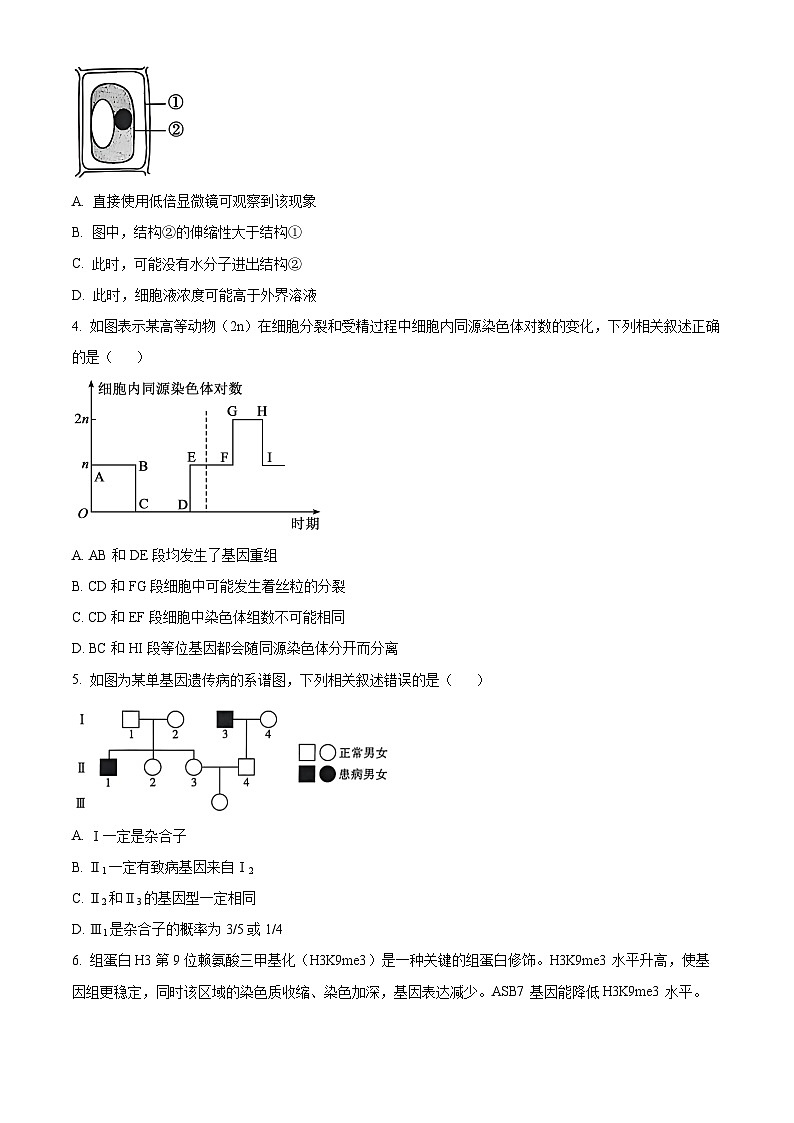 贵州省贵阳市第一中学2025-2026学年高三上学期11月期中考试生物试题（Word版附解析）第2页