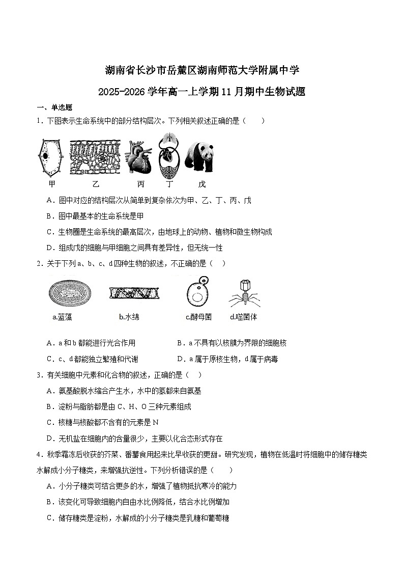 湖南师范大学附属中学2025-2026学年高一上学期期中考试生物试题（Word版附答案）第1页