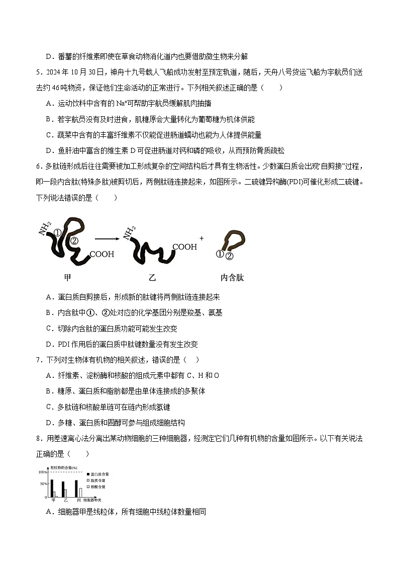 湖南师范大学附属中学2025-2026学年高一上学期期中考试生物试题（Word版附答案）第2页