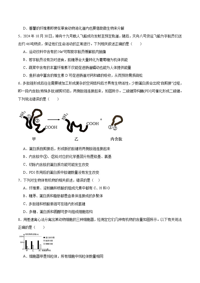湖南师范大学附属中学2025-2026学年高一上学期期中考试生物试题（Word版附答案）第2页