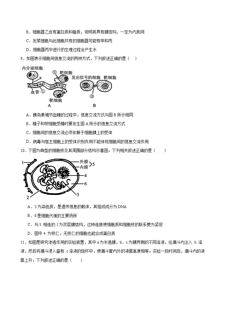 湖南师范大学附属中学2025-2026学年高一上学期期中考试生物试题（Word版附答案）第3页