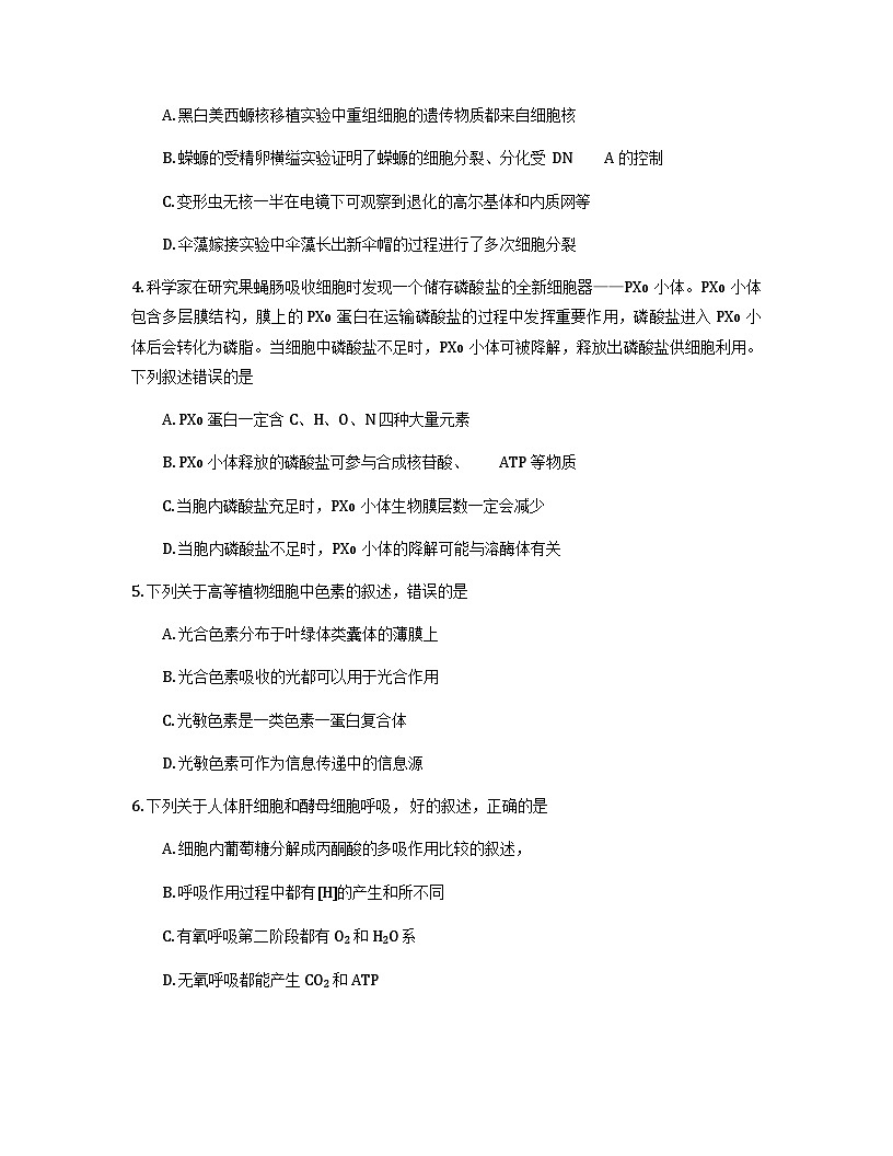 2026石家庄高三上学期11月摸底考试生物含答案第2页