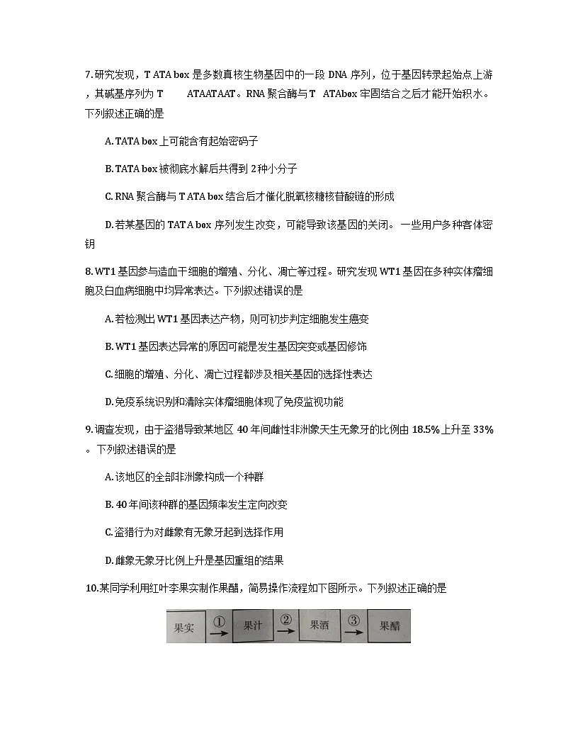 2026石家庄高三上学期11月摸底考试生物含答案第3页