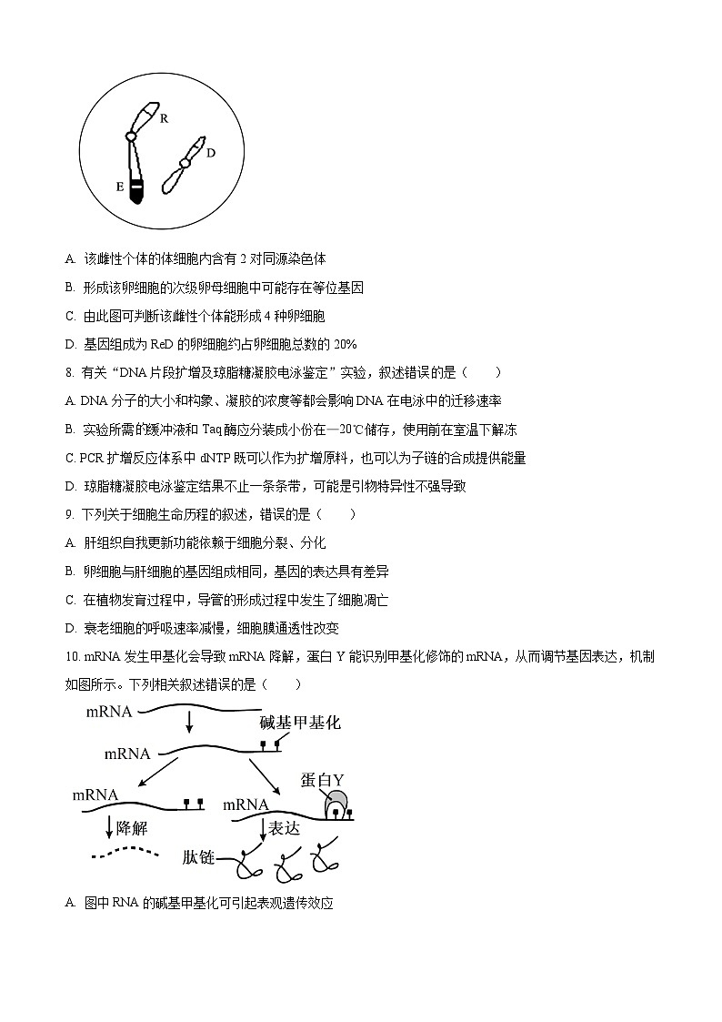 黑龙江省龙东十校联盟2026届高三上学期12月月考 生物试卷第3页