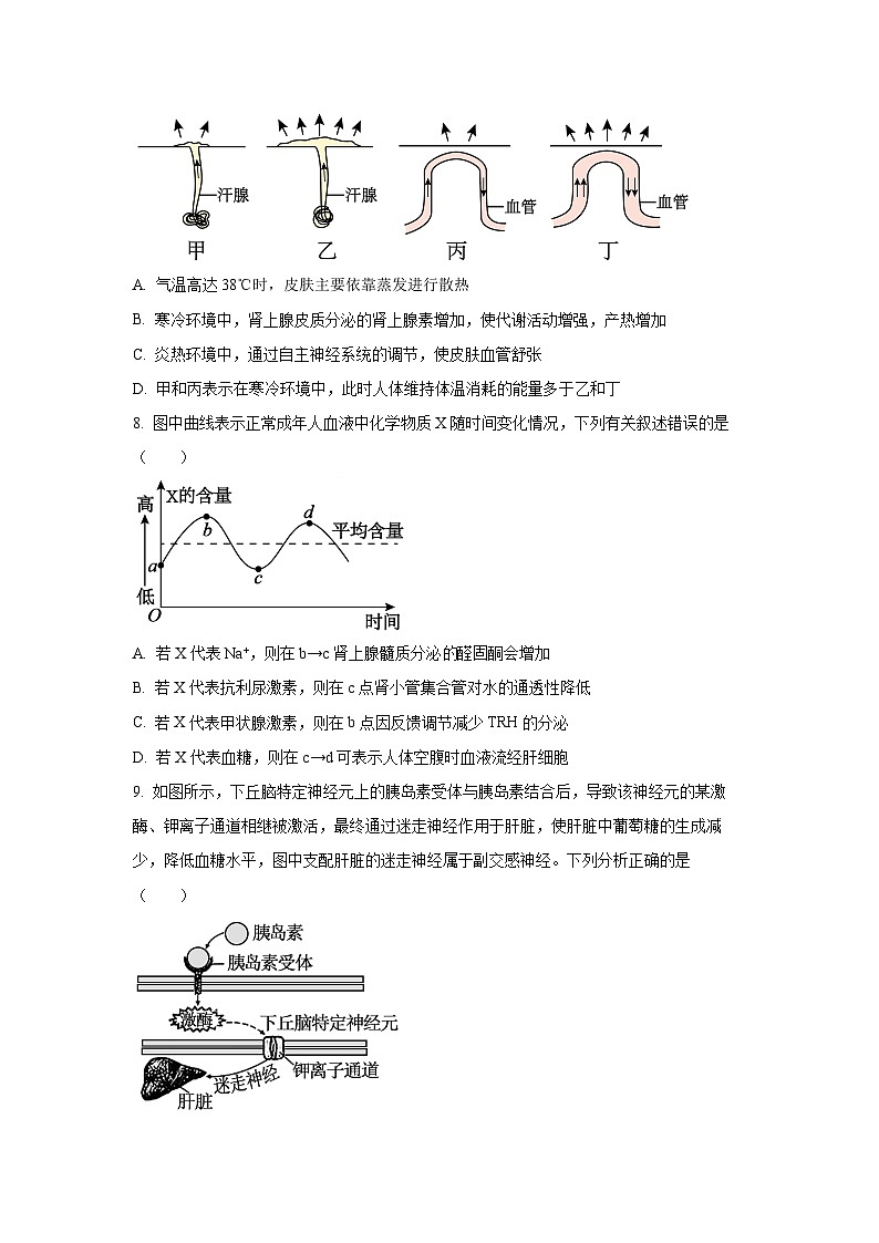 四川省泸州市泸县普通高中共同体2025-2026学年高二上学期11月期中生物试卷（学生版）第3页
