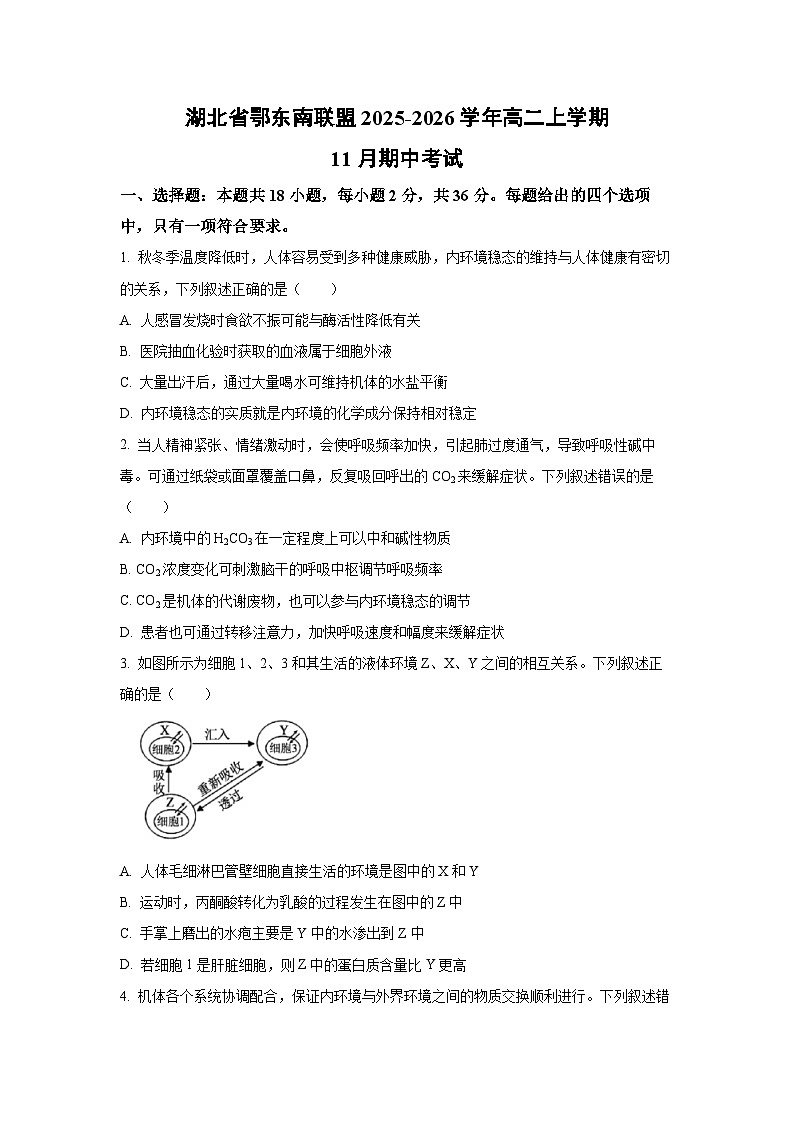 湖北省鄂东南联盟2025-2026学年高二上学期11月期中考试生物试卷（学生版）第1页