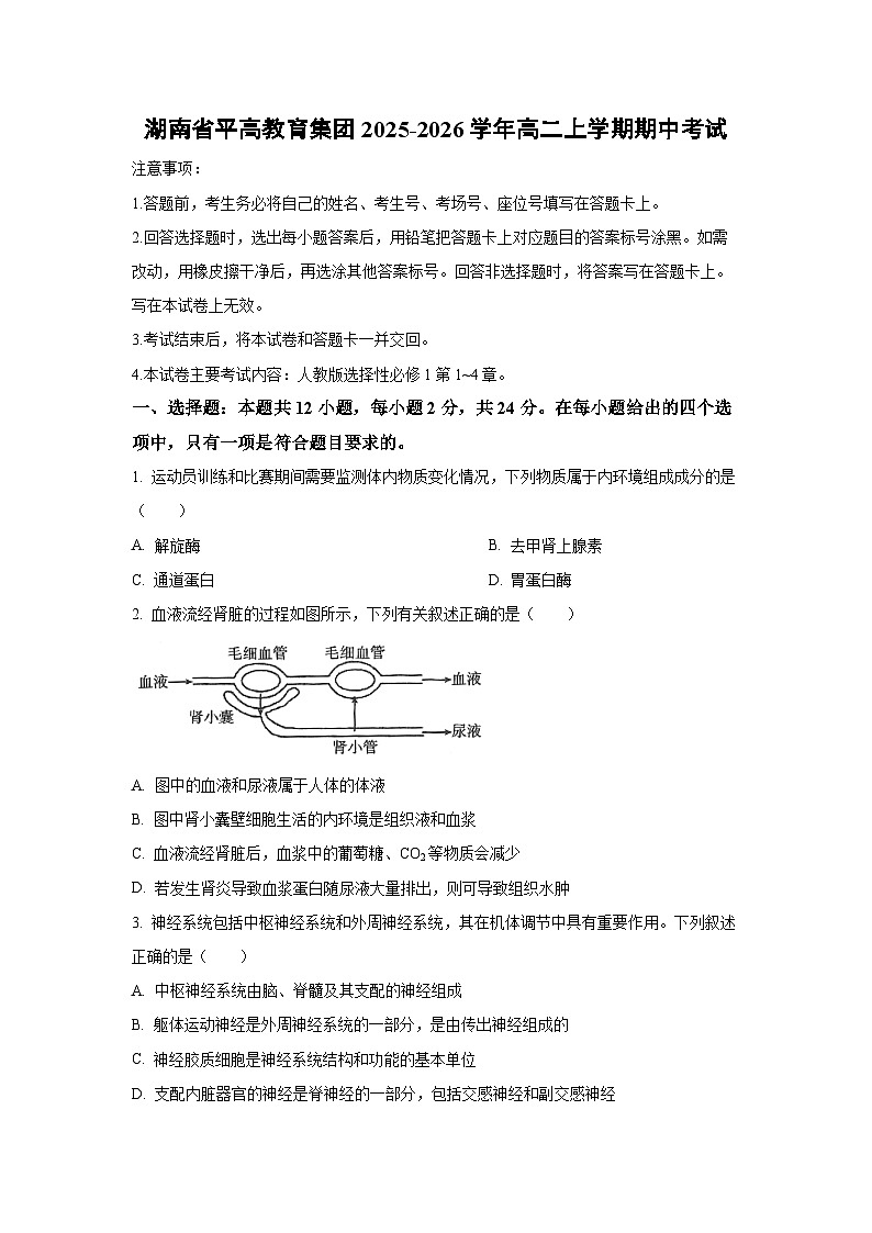 湖南省平高教育集团2025-2026学年高二上学期期中考试生物试卷（学生版）第1页