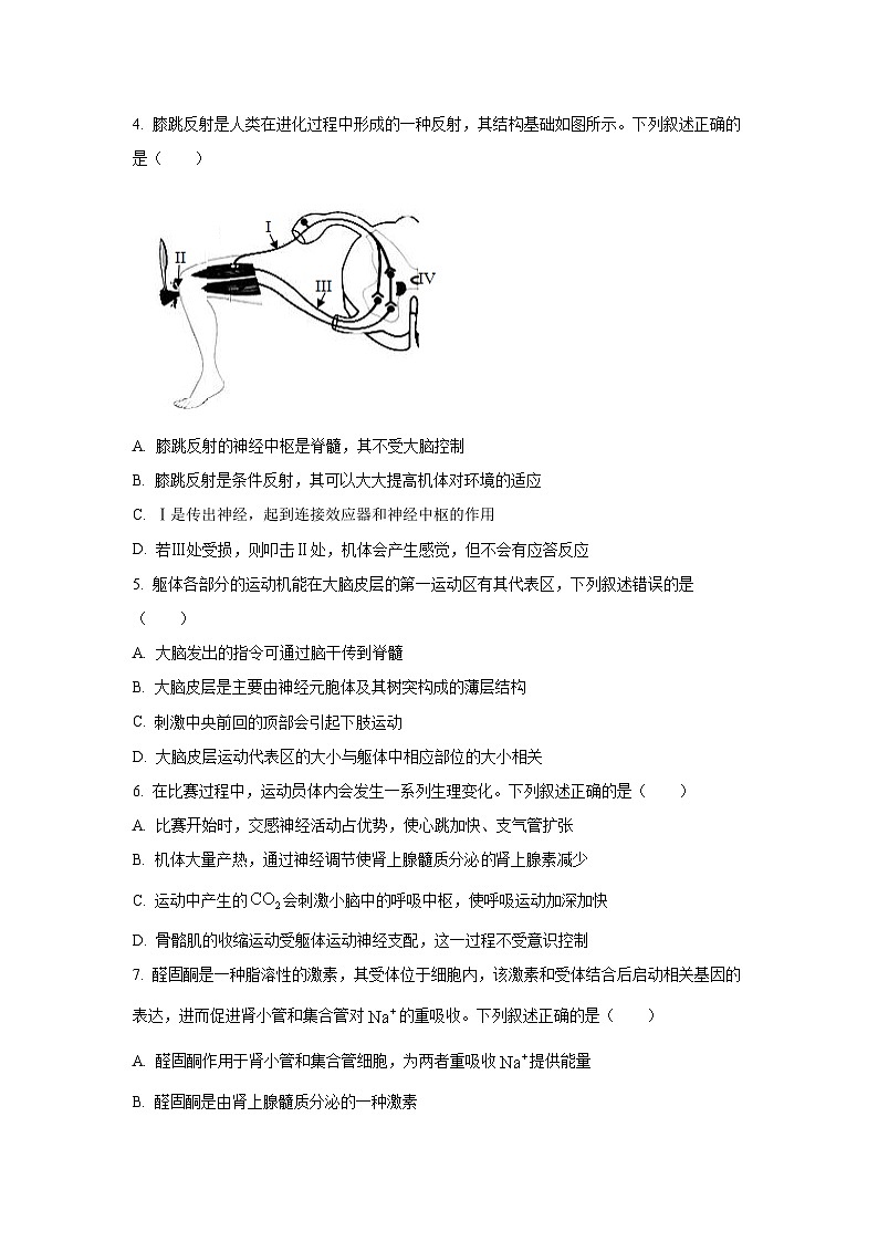 湖南省平高教育集团2025-2026学年高二上学期期中考试生物试卷（学生版）第2页