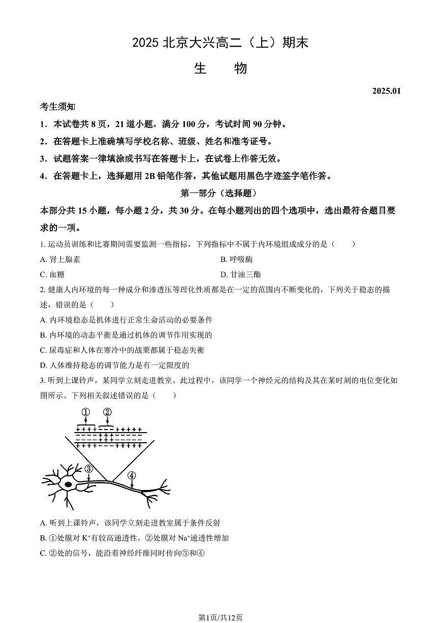 2025北京大兴高二（上）期末生物试卷 有答案第1页