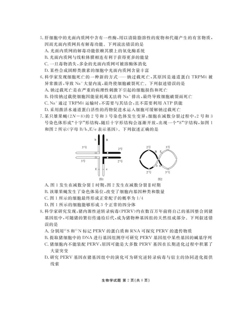 湖北省衡水金卷2026届高三上学期12月阶段性测试 生物 含解析第2页