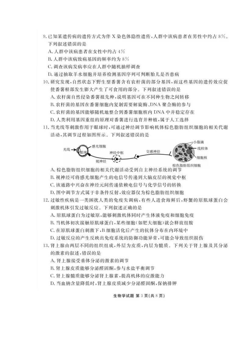 湖北省衡水金卷2026届高三上学期12月阶段性测试 生物 含解析第3页