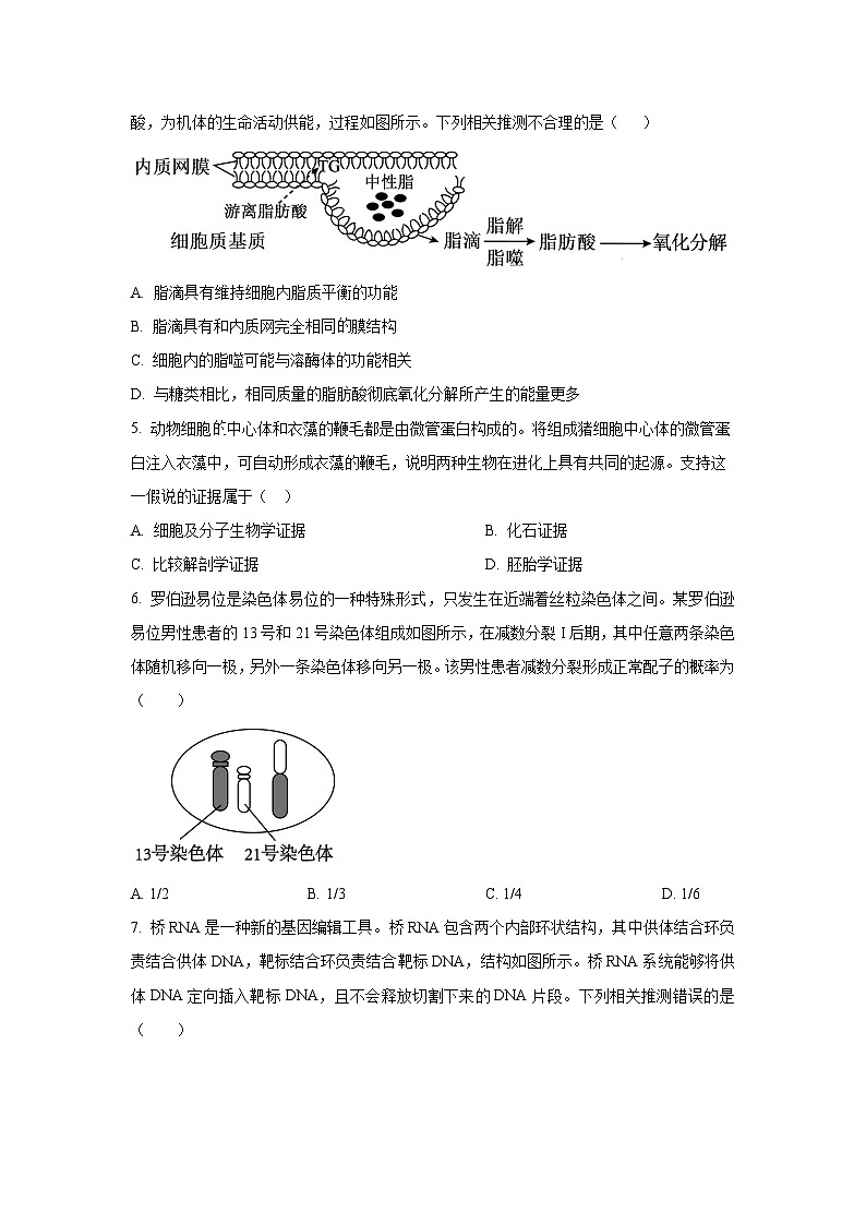 云南省金太阳2025-2026学年高三上学期11月月考生物试卷（学生版）第2页