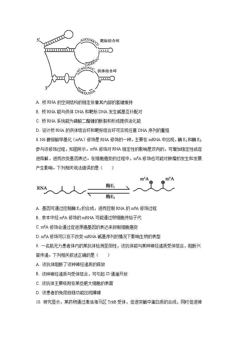 云南省金太阳2025-2026学年高三上学期11月月考生物试卷（学生版）第3页