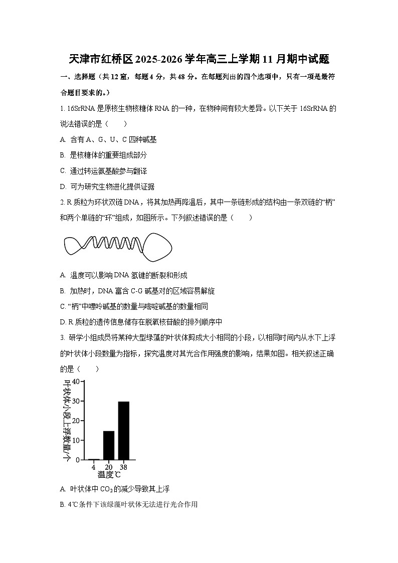 天津市红桥区2025-2026学年高三上学期11月期中生物试卷（学生版）第1页