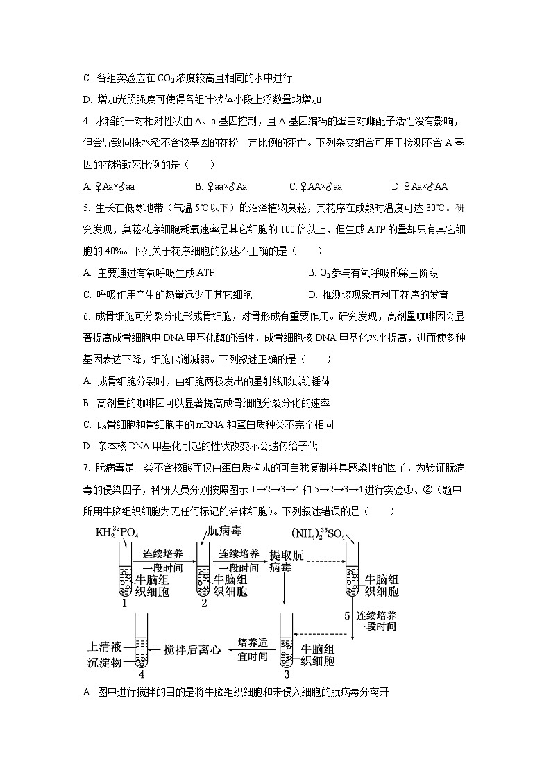 天津市红桥区2025-2026学年高三上学期11月期中生物试卷（学生版）第2页