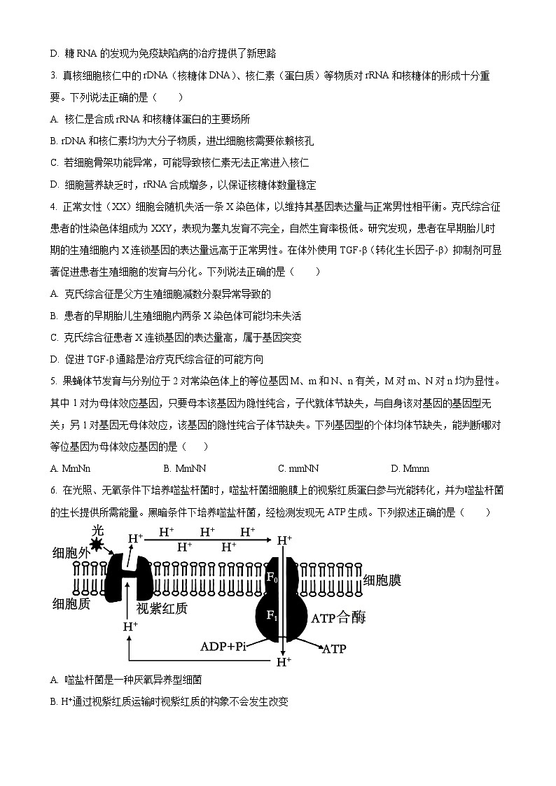 湖北省云学联盟2026届高三上学期12月月考生物试题（原卷版）第2页