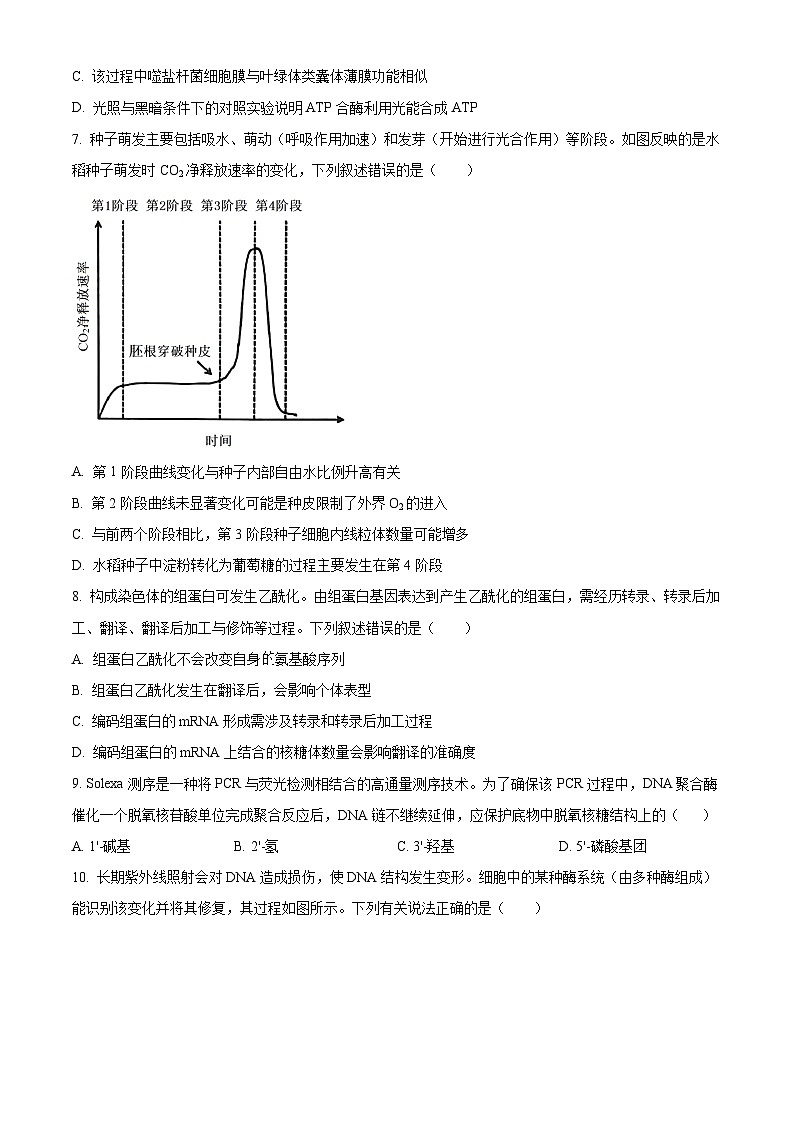 湖北省云学联盟2026届高三上学期12月月考生物试题（原卷版）第3页