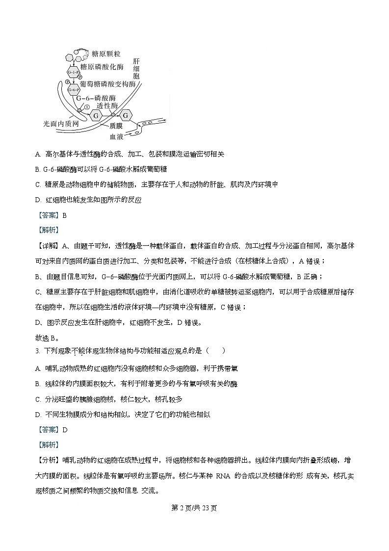 四川省成都市成华区某校2026届高三上学期12月一诊模拟生物试题 Word版含解析第2页