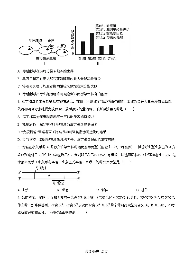 重庆市第八中学2026届高三上学期12月考试生物试题（原卷版）第2页