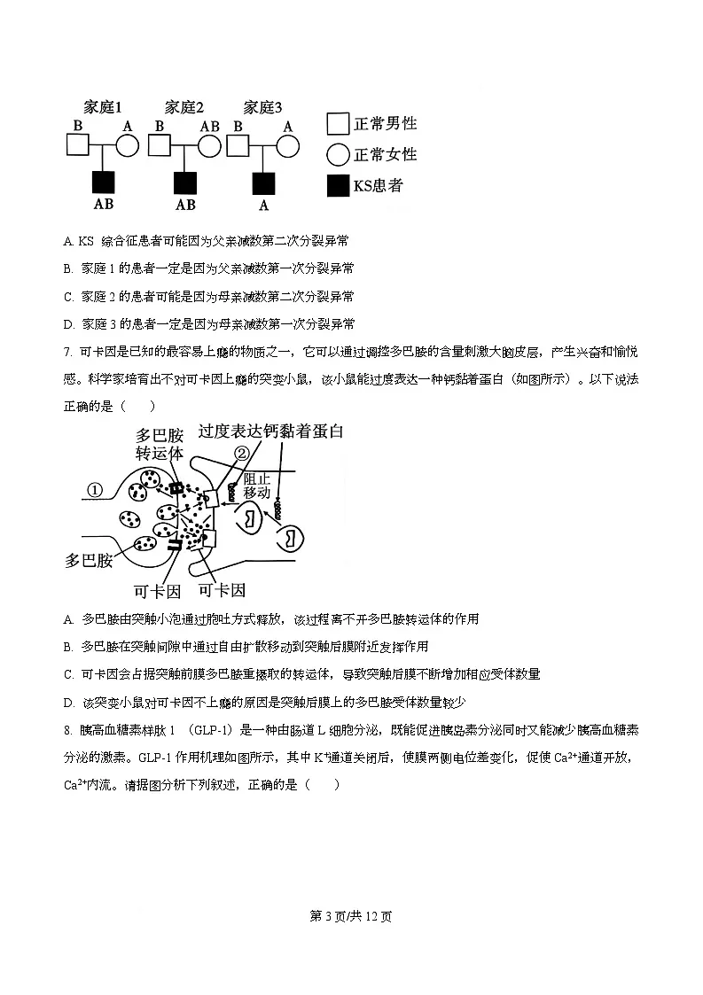 重庆市第八中学2026届高三上学期12月考试生物试题（原卷版）第3页