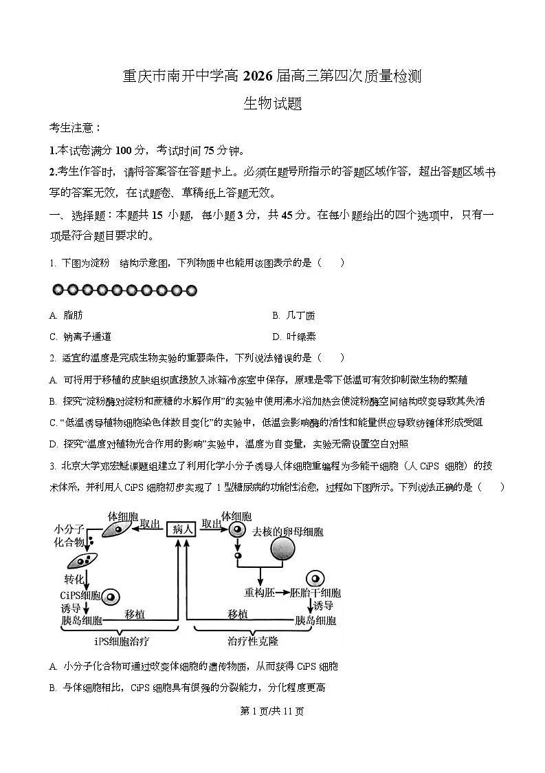 重庆市南开中学2026届高三上学期第四次质量检测生物试卷（原卷版）第1页