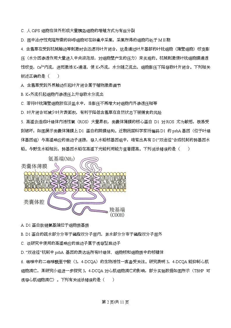 重庆市南开中学2026届高三上学期第四次质量检测生物试卷（原卷版）第2页