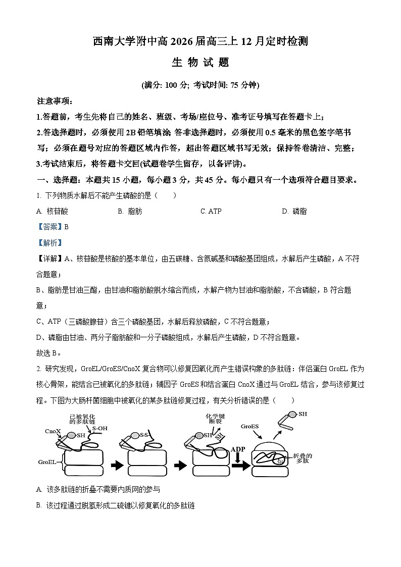 重庆市北碚区西南大学附属中学2026届高三上学期12月月考生物试题 Word版含解析第1页
