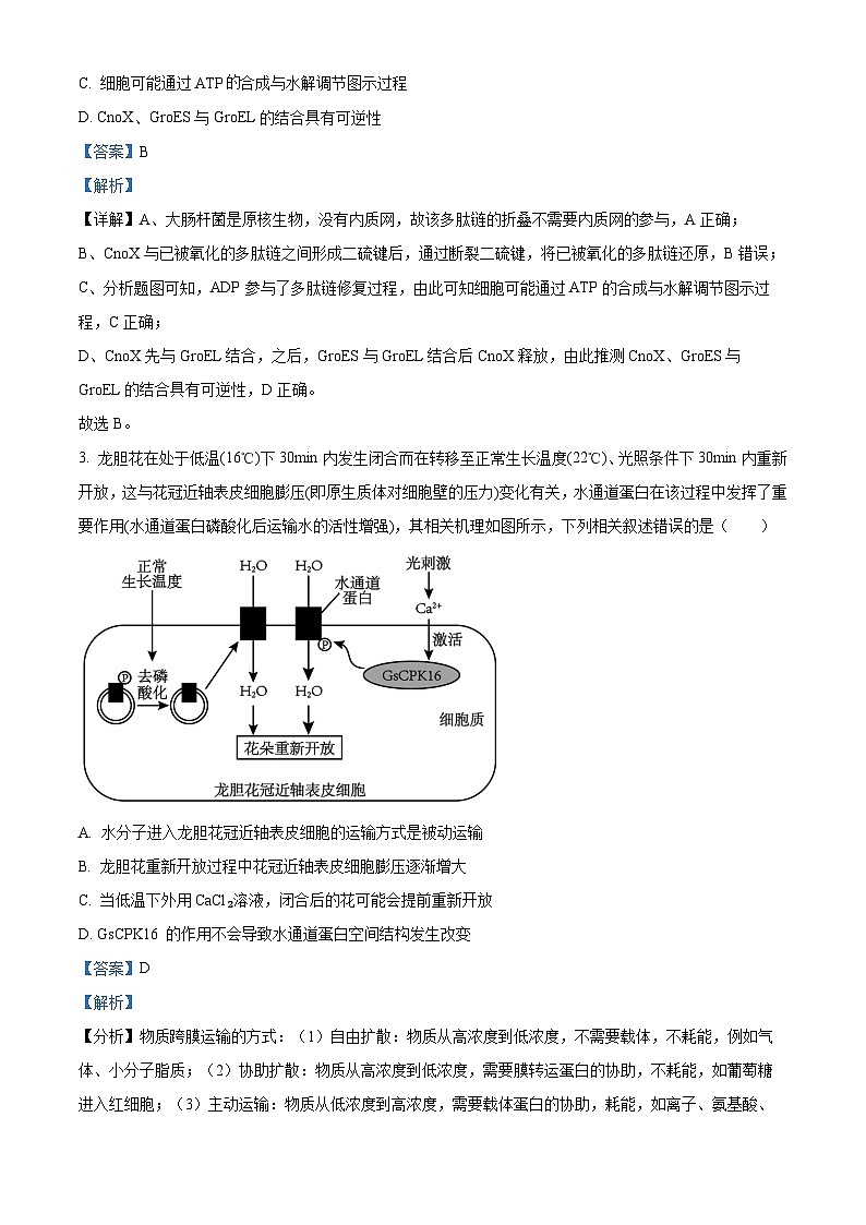 重庆市北碚区西南大学附属中学2026届高三上学期12月月考生物试题 Word版含解析第2页