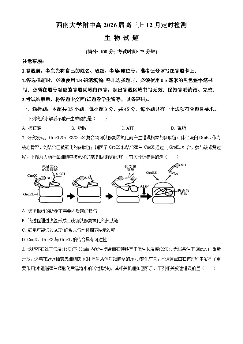 重庆市北碚区西南大学附属中学2026届高三上学期12月月考生物试题（原卷版）第1页