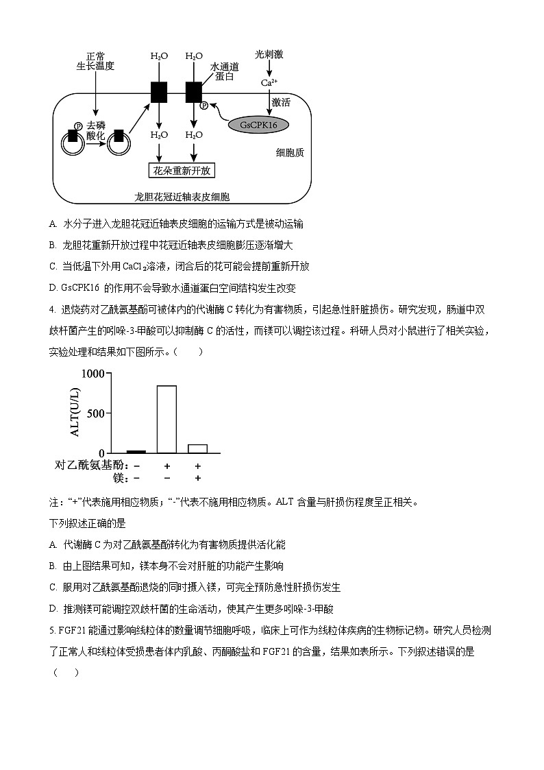重庆市北碚区西南大学附属中学2026届高三上学期12月月考生物试题（原卷版）第2页