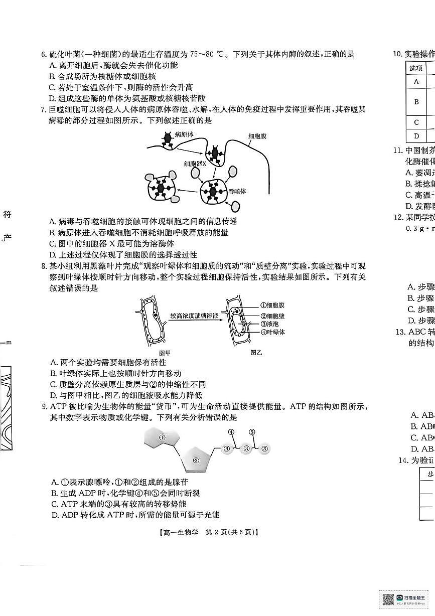 河南省南阳市邓州市十校金太阳联考2025-2026学年高一上学期12月月考生物试题第2页